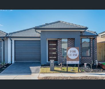 47 Rice Flower Crescent, Strathtulloh, Vic 3338 - Photo 3