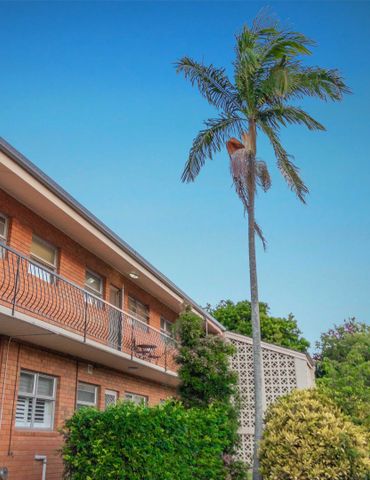 4/15 Deviney Street, Morningside QLD 4170 - Apartment For Rent | Domain - Photo 4