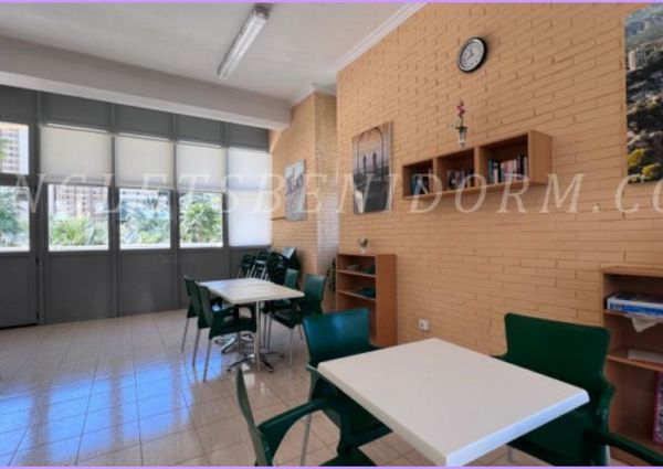 REF. 1865-Benidorm-900€
