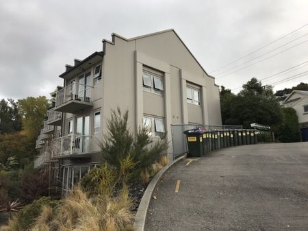 Room 13D/73 Buccleugh Street, North East Valley, Dunedin City - Photo 3