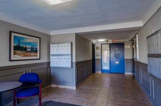 Two Bedroom Apartment - Photo 1