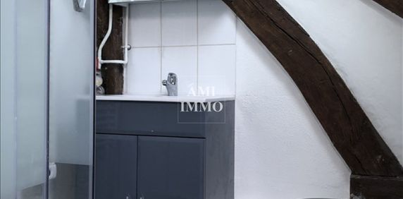 Location Appartement 1 pièce 14m² BIEVRES 91570 - Photo 2