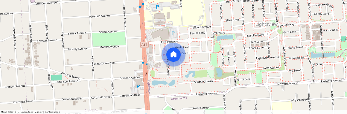 61 Wiltshire Drive, SA 5085, Lightsview