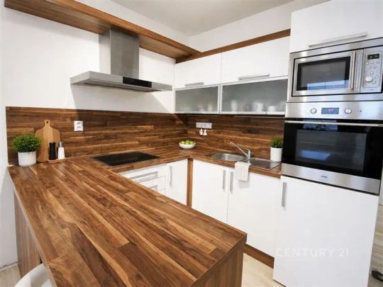 Pronájem útulného bytu 1+KK s balkonem v Žabovřeskách - Fotografie 1