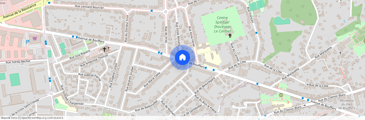 avenue de Boufflers, NANCY, 54000