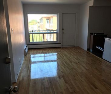 1 CH - 1 SDB - Montréal - $1,300 /mo - Photo 2