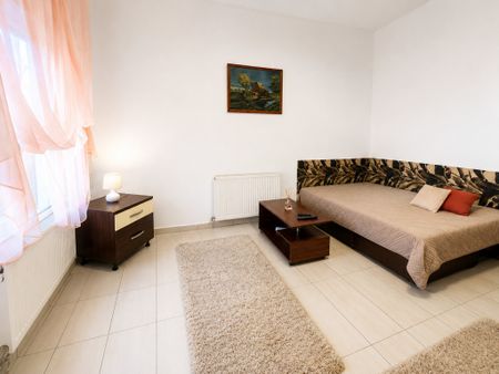 Apartament cu o cameră Traian - Photo 3