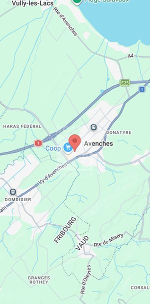 Apartment 2.5 rooms ground floor - Photo 2