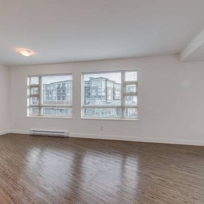 GORGEOUS 1 BDR APT, PET FRIENDLY-RICHMOND - Photo 4