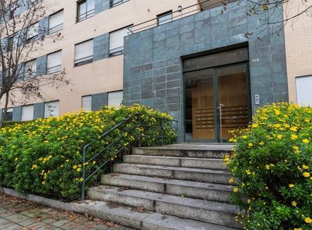 Rua Professor Joaquim Bastos, Porto, Braga 4200-604 - Photo 4