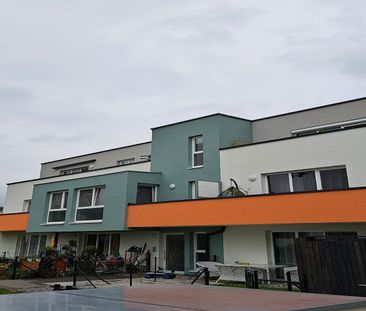 SCHWARZAU I/1 - Photo 2