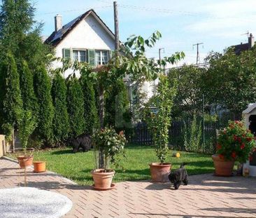 GENEROUS WITH GARDEN - Photo 3