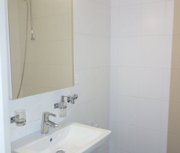 Proche des organisations internationales - Photo 3