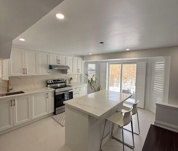 For Lease - 27 Bethany Street Unit# Bsmnt, Markham, Ontario - Photo 3