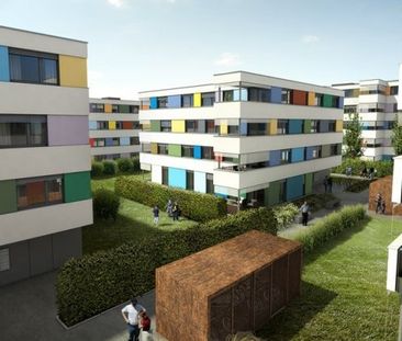 3 ½ Zimmer-Wohnung in Schwerzenbach mieten - Photo 6