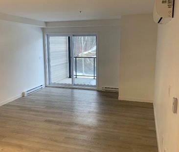 Superbe logement 5 1/2 à St-Nicolas, 3ème étage, climatisé, 2 STATIONNEMENTS EXTÉRIEURS INCLUS, LIBRE LE 1IER MARS 2027 - Photo 1