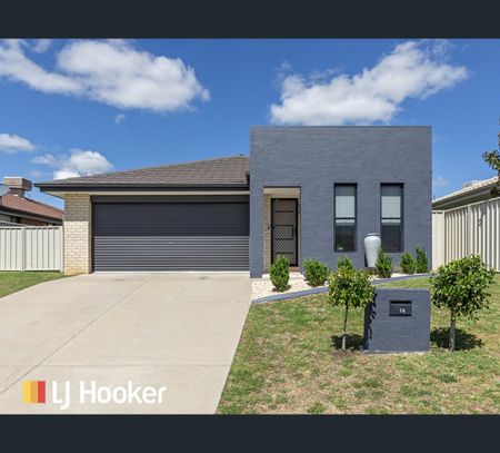 17 Baringa Place, Hillvue, NSW 2340 - Photo 4