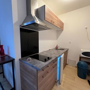 Location Appartement 1 pièce 21m² - Photo 3