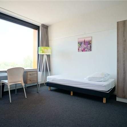 Studio Cederlaan 320, Eindhoven - À louer - Photo 1