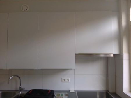 Gebroeders Van Hamelpad, 22, Hoogvliet Rotterdam - Foto 3