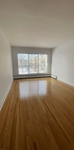 1 CH - 1 SDB - Montréal - $1,300 /mo - Photo 1