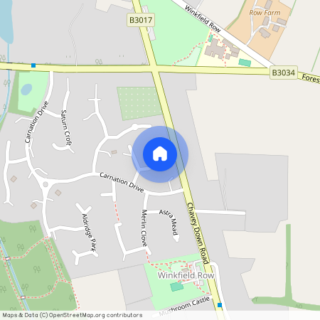 Simkins Close, Winkfield Row, RG42