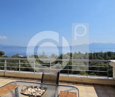 Διαμέρισμα για ενοικίαση Μαλεσίνα - Photo 5