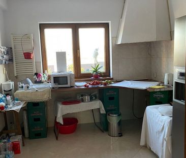 Casa individuala si curte in Davinci/ PET FRIENDLY - Photo 2