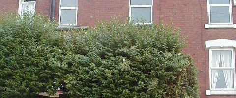 3 bedroom house to rent - Photo 1