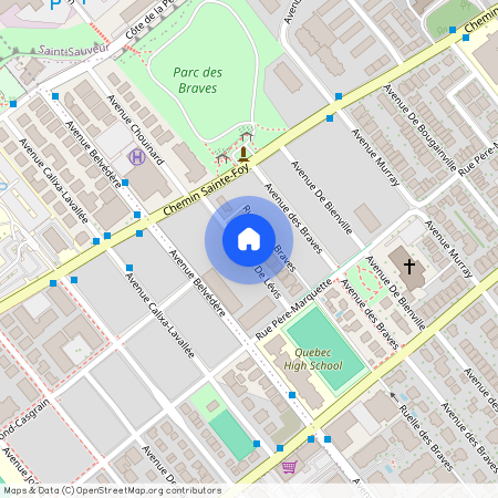 Avenue Belvédère, Québec, Québec, Capitale-Nationale, G1S 3E2