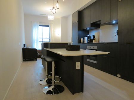 For Lease - 5 St Joseph Street Unit# 415, Toronto, Ontario - Photo 4