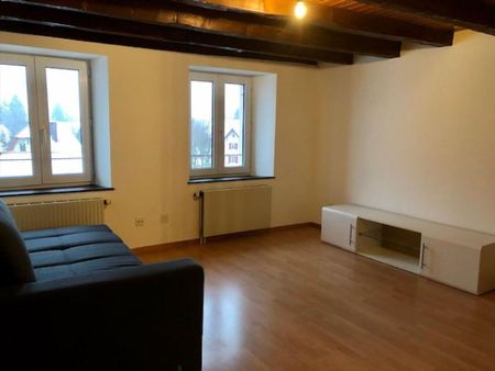 Large duplex studio - Ste-Croix - Photo 3