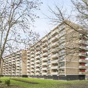 Jan Luykenlaan 2332 Leiden - Foto 2