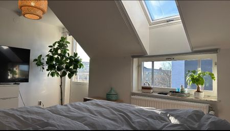 Linnegatan, Limhamn - Foto 3