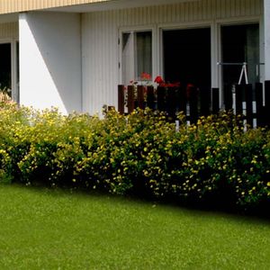 Kyrkogatan 11 B - Foto 2