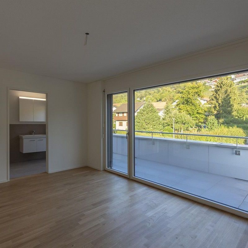 Modern Attikawohnung mit Sonnenterrasse - Photo 1