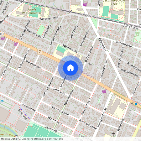 8400, Winterthur, Lindenstrasse, 19