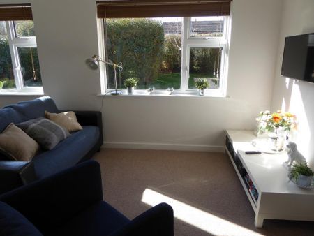 Studio to rent - Photo 3