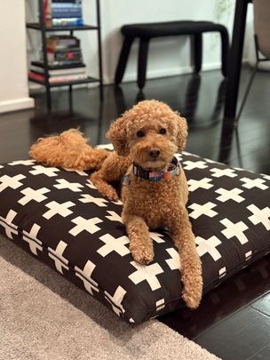 Port Melbourne - Photo 1