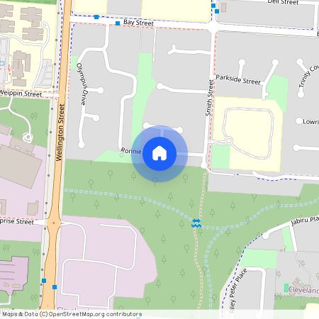 14 Ronnie Street, Qld 4163, Cleveland