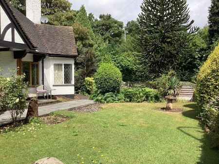 1 bedroom mews to rent - Photo 5