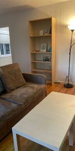 Sharably Large 1 Bedroom Apartment - Photo 4