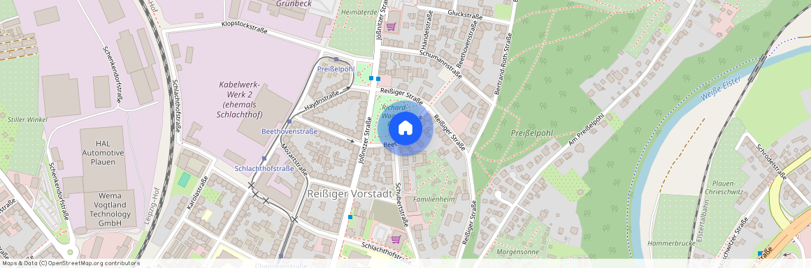Beethovenstraße, 08525, Beethovenstraße    Plauen