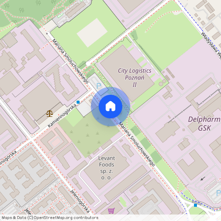 ul. Mariana Smoluchowskiego, Junikowo, Grunwald, Poznań, wielkopolskie