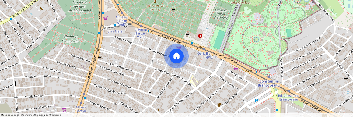 Strada Padesu, Berceni, Sectorul 4, Bucuresti