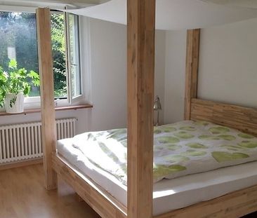 2.5 Zimmer, 58 m² - Photo 4