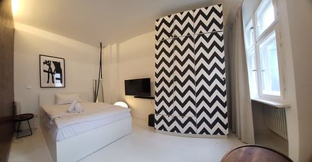 Kreuzberg: voll möbliertes LUXUS Apartment, 30 m² befristet für max. 12 Monate - SOFORT zu VERMIETEN - Foto 4