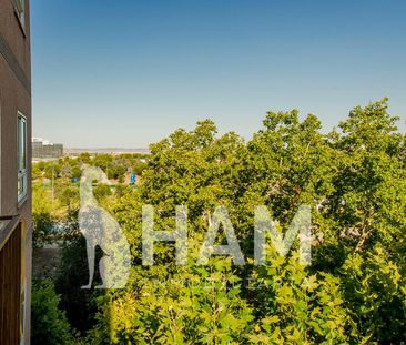 Habitación - Madrid - Alameda de Osuna - 550€ MES - Ref. GN6484859 - Photo 3