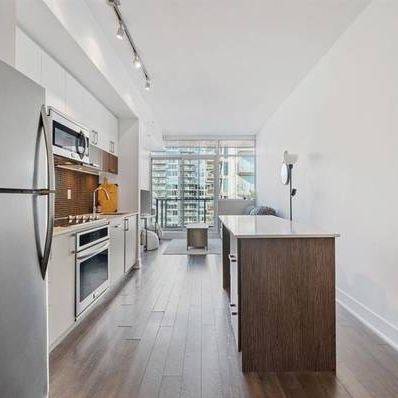 Fully furnished 2 bed 1 bath condo downtown - Photo 4