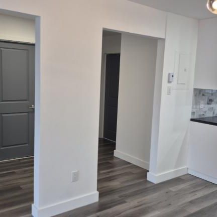 5 1/2 - Montréal - 1 575 $/mois - Photo 4